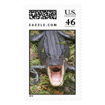 Open Wide! Florida Alligator Stamp