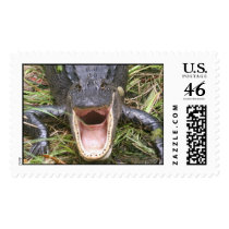 Open Wide! Florida Alligator Postage Stamp