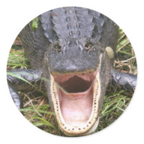 Open Wide! Florida Alligator Sticker