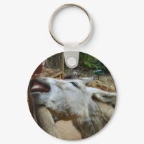 Open wide keychains