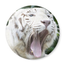 Open Wide Fridge Magnets