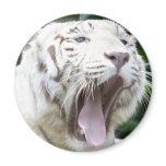 Open Wide Fridge Magnets Open Wide Fridge Magnets
