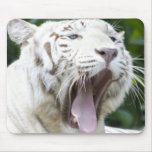 Open Wide Mouse Mats