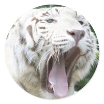 Open Wide Sticker