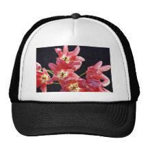 Opened Pink Tulips W/ White Throats flowers Trucker Hat