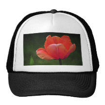 Opened Red Hats