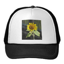 Opened sunflower trucker hat