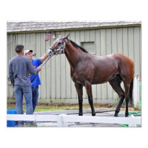 Opening Day at the Spa Photo Print
