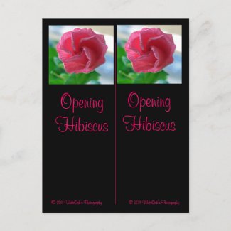 Opening Hibiscus Bookmarks  Postcard postcard