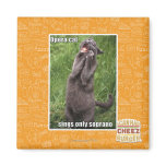 Opera Cat magnets
