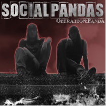 Operation Panda photo sculptures