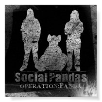 Operation Panda posters
