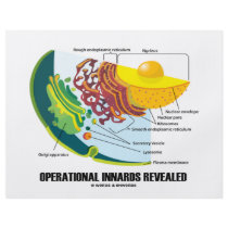 Operational Innards Revealed (Cell Biology) flyers