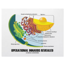 Operational Innards Revealed (Cell Biology) Letterhead Design