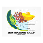 Operational Innards Revealed (Cell Biology) Letterhead Design
