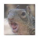 Opinionated Squirrel Magnet by poozybear Opinionated Squirrel Magnet