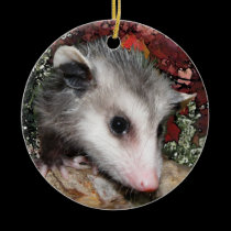 Opossum Baby ornaments