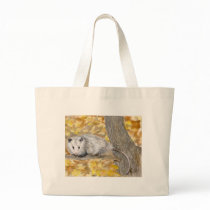Opossum Bag