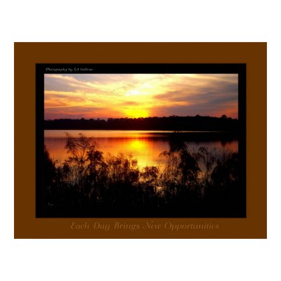 Opportunity by TDGallery Print by tdgallery