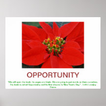 OPPORTUNITY demotivational poster