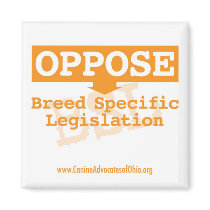 Oppose BSL Square Magnet by Advocates Oppose BSL Square Magnet