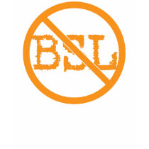 Oppose BSL T-Shirt - Customized