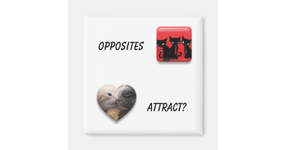 Opposites Attract 2 Inch Square Zazzle