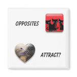 Opposites Attract Refrigerator Magnets