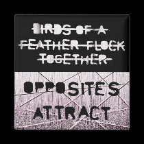 Opposites attract magnet magnets