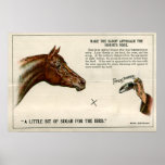 Optical illusion 1896 print