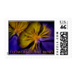 FLOWERS, PURPLE, PANSY, GOLD