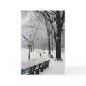 Optimism cards by epollaert Optimism cards