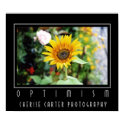 Optimism posters by ccphoto Optimism posters