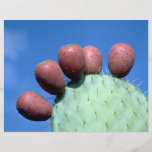 Opuntia megacantha (prickly pear) Desert Personalized Flyer