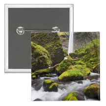 OR, Columbia River Gorge, Elowah Falls and Buttons