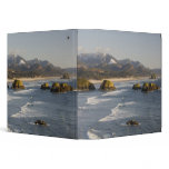 OR, Oregon Coast, Ecola State Park, view of 2 binders