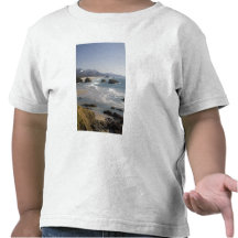 OR, Oregon Coast, Ecola State Park, view of T Shirts