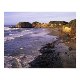 OR, Oregon Coast, Newport, shoreline at Seal Poster