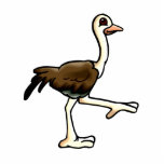 Ora Ostrich