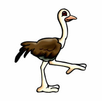 Ora Ostrich photo sculptures