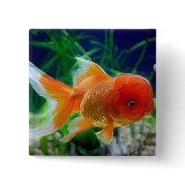 Oranda Goldfish Pinback Button