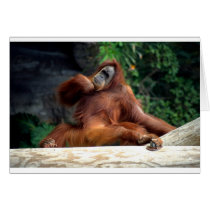 orang1 greeting cards