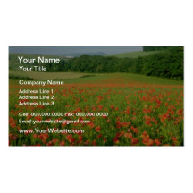 Orange Agricultural poppy field, Falmer Business Card