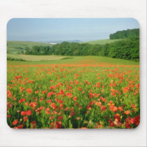 Orange Agricultural poppy field, Falmer Mouse Pad