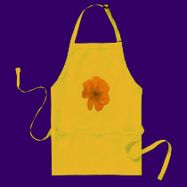 Orange Aid/ PopArt Flower aprons