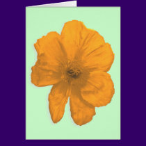 Orange Aid/ PopArt Flower cards