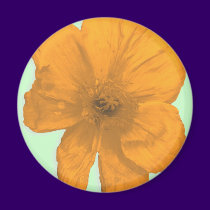 Orange Aid/ PopArt Flower magnets