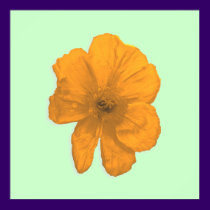 Orange Aid/ PopArt Flower posters