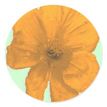 Orange Aid/ PopArt Flower stickers by RLMdesignes Orange Aid/ PopArt Flower stickers