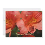 Orange Alstroemeria Flower You are invited